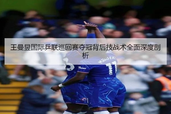 王曼昱国际乒联巡回赛夺冠背后技战术全面深度剖析 | LEYU SPORTS